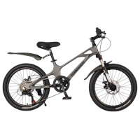 Дитячий велосипед Hammer M-1 20 дюймов. Цвет: серый