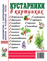 Кустарники в картинках. Наглядное пособие для педагогов, логопедов, воспитателей и родителей.