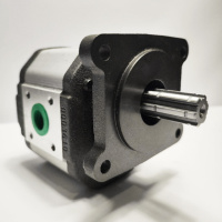 Гідравлічний насос шестеренний Q2-34R-B01D20-SS11S10-V Південнобуд (Jihostroj)