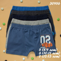 Дитячі труси для хлопчика Nicoletta 8-9, 10-11, 12-13років 5 шт.