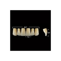 Акриловые зубы Tribos 501, фронт, верх - VR11 А1