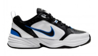 Air Monarch