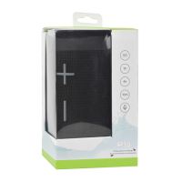 Колонка Hopestar P13 мятая упаковка