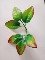 Листик под розу / длина листа 18.5 см