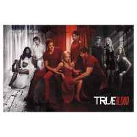 Постер «True Blood» 61 x 91,5 см