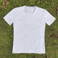 Футболка чоловіча базова Intruder біла (1356792108)