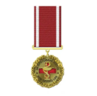 Медаль “За врятоване життя”, покриття золото