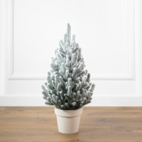 Віденська засніжена 70 см маленька ялинка лита в горщику Сіга Груп