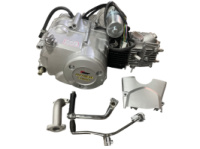 Двигатель Delta 125cc (АКПП 157FMH) (TM) EVO