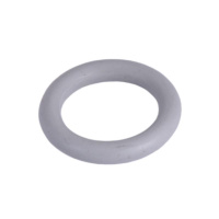 Запчастина: Ewa 24 впускний колектор – ущільнювальне кільце насоса 17×4 (15311009000013) Thermo Alliance