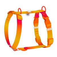 Шлея для собак анатомічна H-подібна WAUDOG Nylon Recycled з QR-паспортом, градієнт, пластиковий фастекс, S, Ш 15 мм, A 30-45 см, B 35-45 см,...