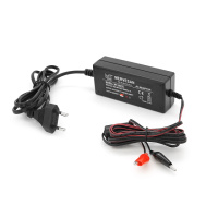 Зарядное устройство для аккумулятора Mervesan MT-4024C 24V-1A, зажимы, Q50