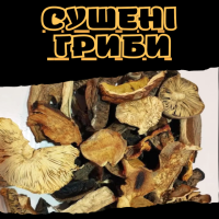 Сушені гриби