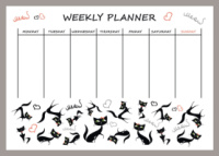 Магнітний планер А3 «Розклад на тиждень №5»