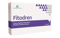 Fitodren натуральное средство для выведения излишней жидкости №20 Нутрифарма