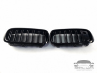 Ноздри на BMW X5 F15 / X6 F16 Черные Глянцевые ( Двойные M-Look ) + Night Vision