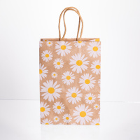 Набор подарочных крафтовых пакетов из бумаги 12 (шт) красивые пакеты для подарков 15×8×21 (см) HP-10359-6W