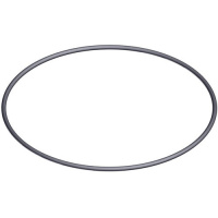 Ущільнююче кільце під кришку 6-позиційного крана Hayward (2 «)