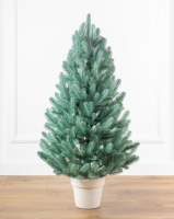 Лапландська блакитна 110 см маленька ялинка лита в горщику Сіга Груп