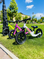 Велобіг, надувні колеса, магнієва рама