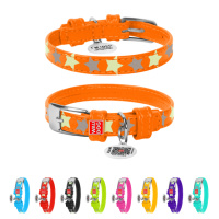 Нашийник для собак шкіряний WAUDOG Glamour з QR паспортом, візерунок «Зірочка», світлонакопичувальний/світловідбивний, XS, Ш 12 мм, Дов 19-25 см...