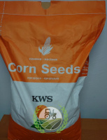 Рікардо, ФАО 320, насіння кукурудзи KWS (КВС)