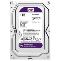 Жесткий диск Western Digital Purple 1TB 64MB 5400rpm WD10PURZ 3.5 SATA III