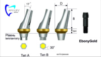 Абатмент кутовий Angled серії RS ApogeyDental (Osstem TS)