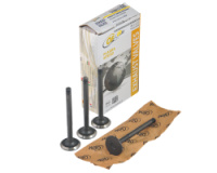 Клапан ГРМ ВАЗ 2108-099, ГАЗ, УАЗ дв. ЗМЗ 406 выпуск (4 шт.) (азотированный)