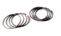 Кольца К-750 .STD (Ø78,00) (М-72) (8 шт. комплект) (Р) ZS