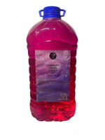 Омивач скла зимовий -12°C 5 л ТМ «AskParts»