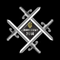 Нагрудний знак «Іловайськ - 2014»