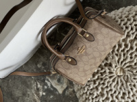 Coach Mini Rowan Crossbody  In Signature бежевий