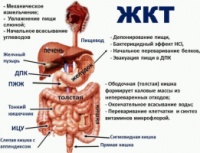 Препараты для ЖКТ