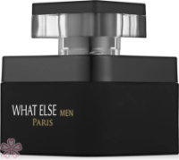 Парфюмированная вода для мужчин Prestige Parfums What Else Men 100 мл