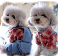 Комбинезон джинсовый для собак 11020 XS красный