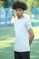 Серая футболка лампасами Ellesse