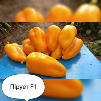 перець Пірует F1