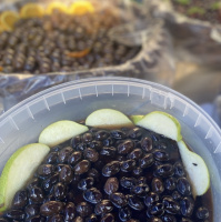 Алатцоелес