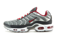 Чоловічі кросівки Nike Air Max TN Plus (41-45)