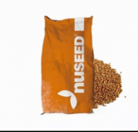 NUSEED