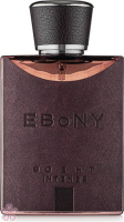 Парфюмированная вода для мужчин Fragrance World Ebony Scent Intense 100 мл