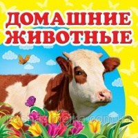 Домашние животные. Книжка-малышка. (С картонными страницами)