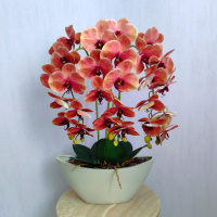 Штучна латексна орхідея VIP в керамічному кашпо кольору антрацит на три гілки персикова