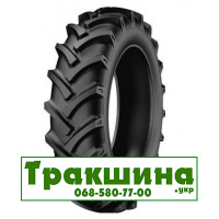 250/85 R24 Kabat SGP-04 112A6 сільгосп шина