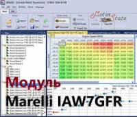 Модуль редактора прошивок BitEdit - Marelli IAW7GFR