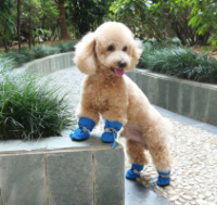 Набор обуви для собак на флисе 11195 S синий