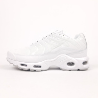 Nike Air Max Plus TN білі  SIN
