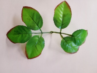 Листик под розу / длина  20 см