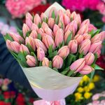Тюльпаны